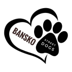 Bansko Street Dogs